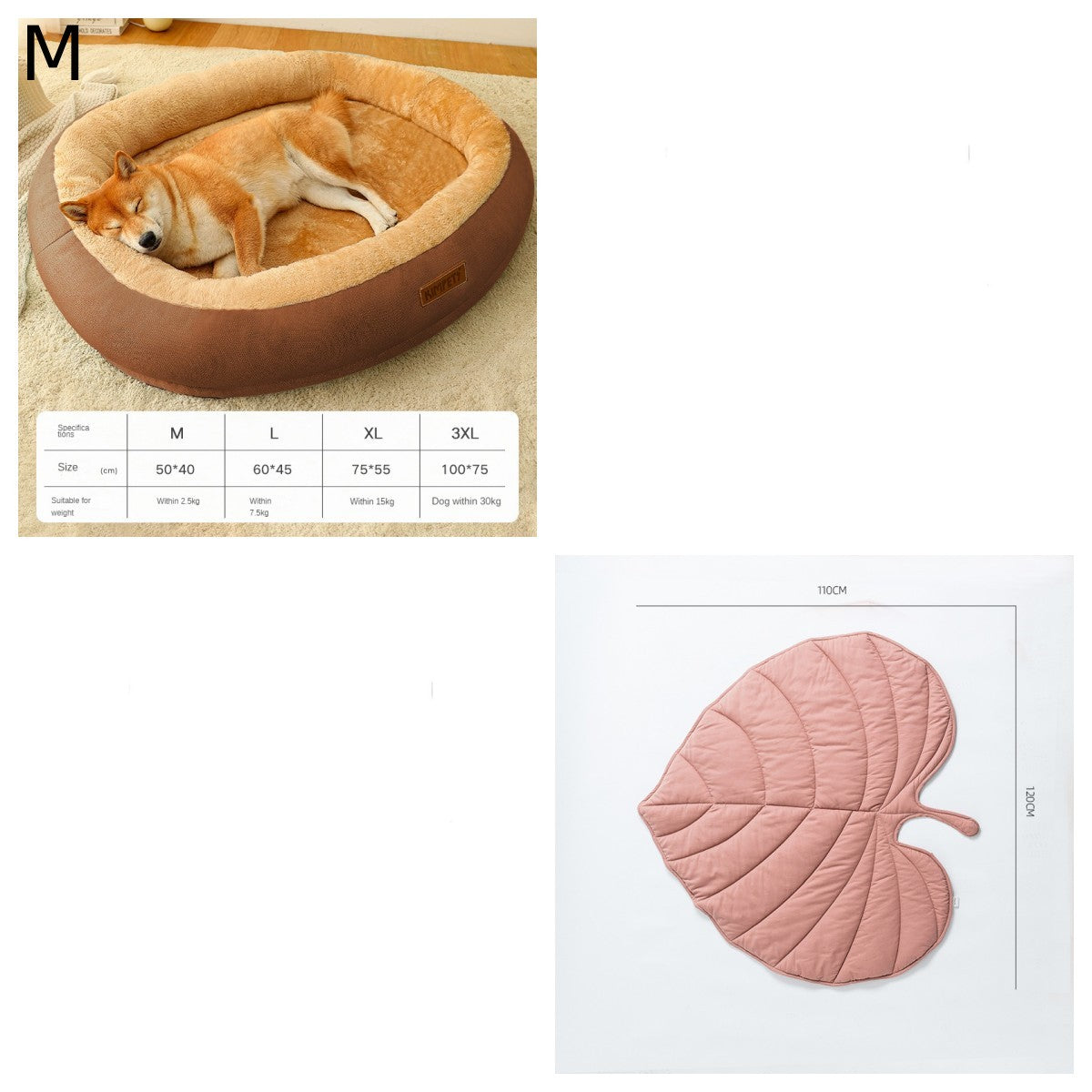 f2095d7569288558366004aa4a91d815