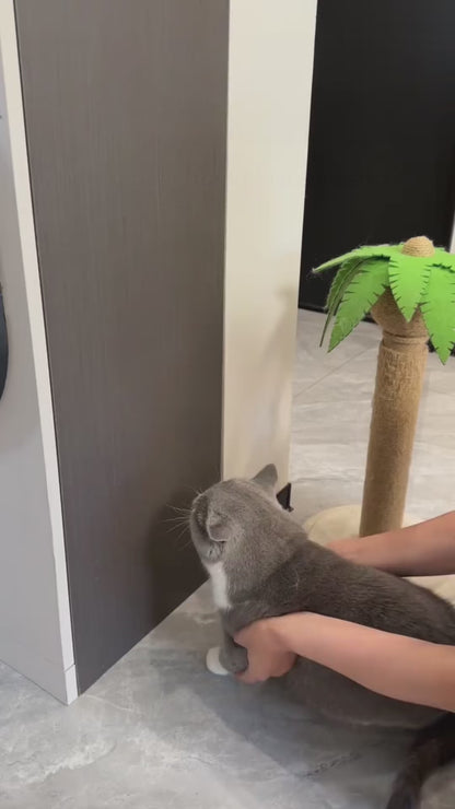 Rotatable Avocado Catnip Wall Toy