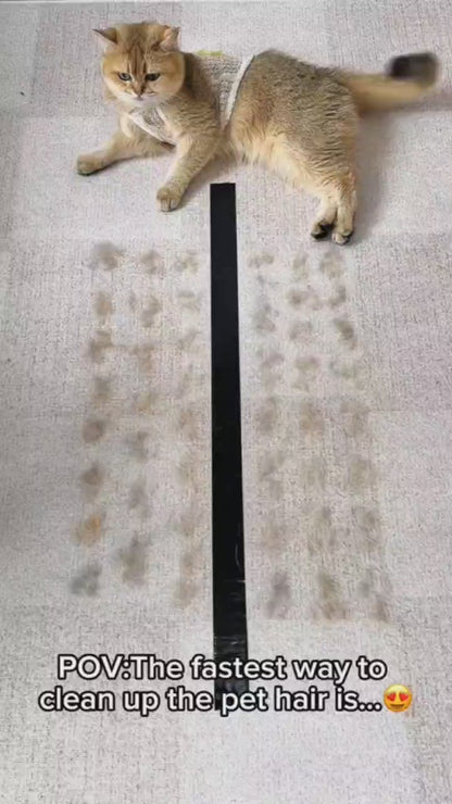 Pro Pet Hair Remover Mitt for Dogs & Cata
