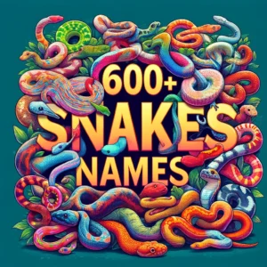 '600+ Pet Snakes Names'. The image should visually represent a diverse array of snakes, showc